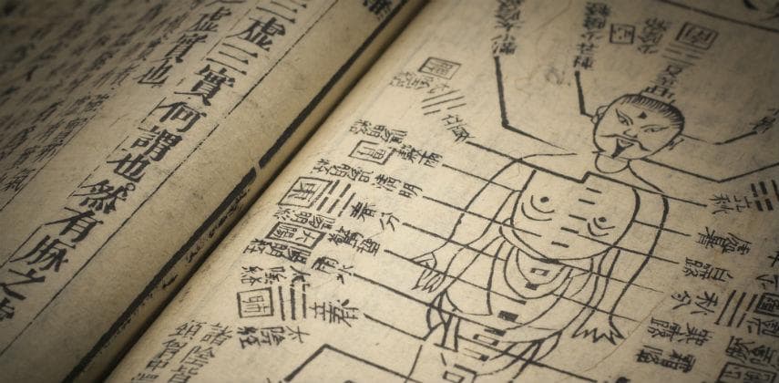 【健康生活】你是甚麼體質？