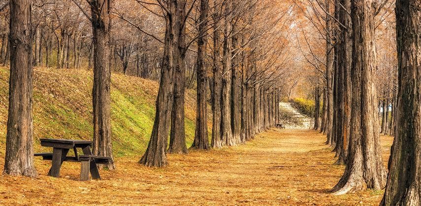 【韓情拆解】首爾：堆填區變浪漫公園